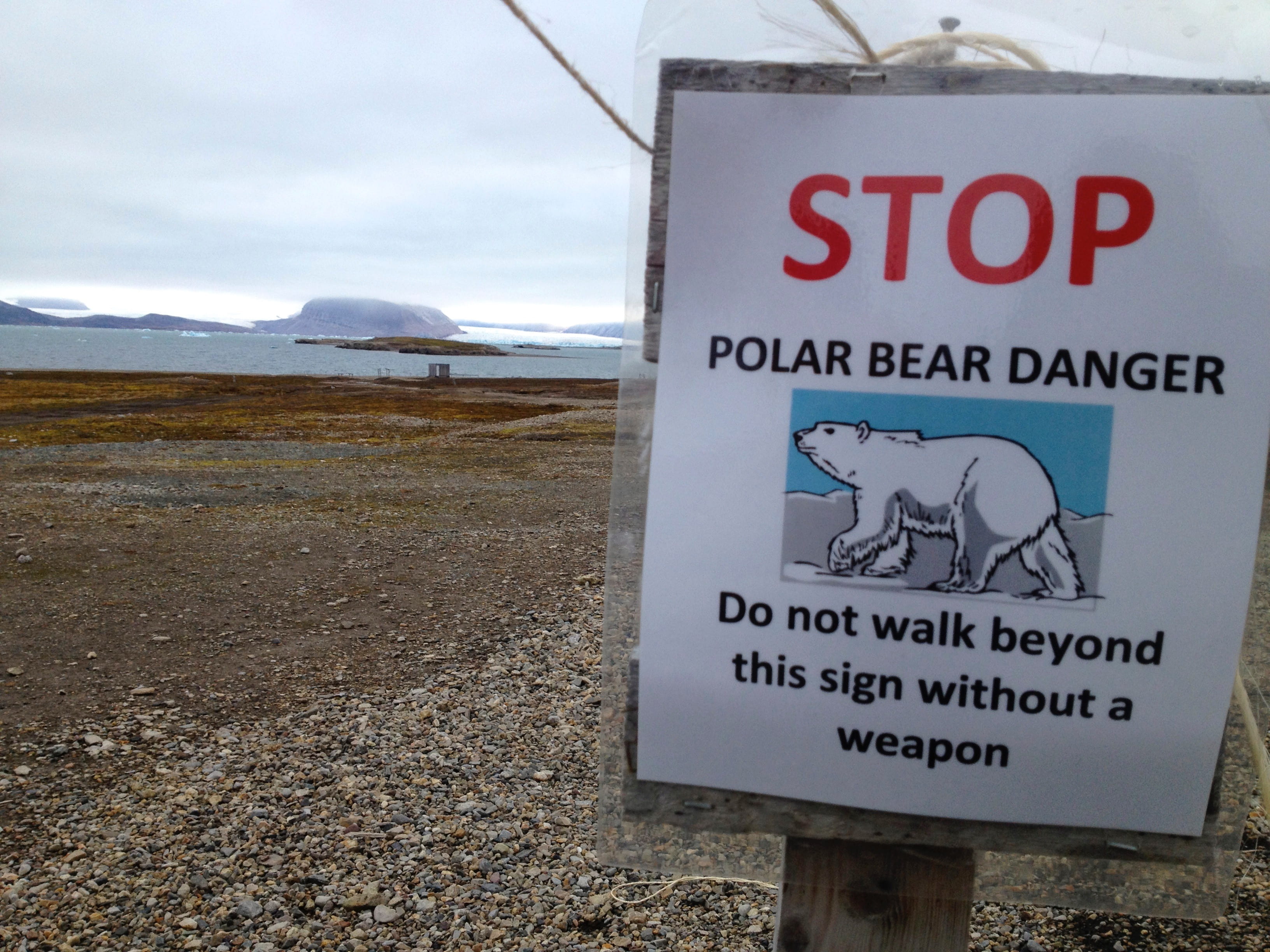  Some of my research in Norway was conducted in the research town of Ny-Ålesund on the island of Svalbard. They had polar bear warning signs posted around the town.